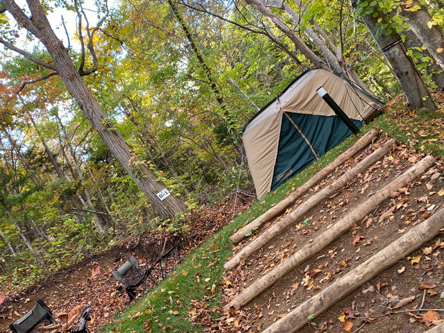 K.ing.�΂񂯂����@�L�����s���O