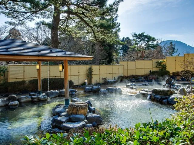 元湯 森の湯の女性露天風呂