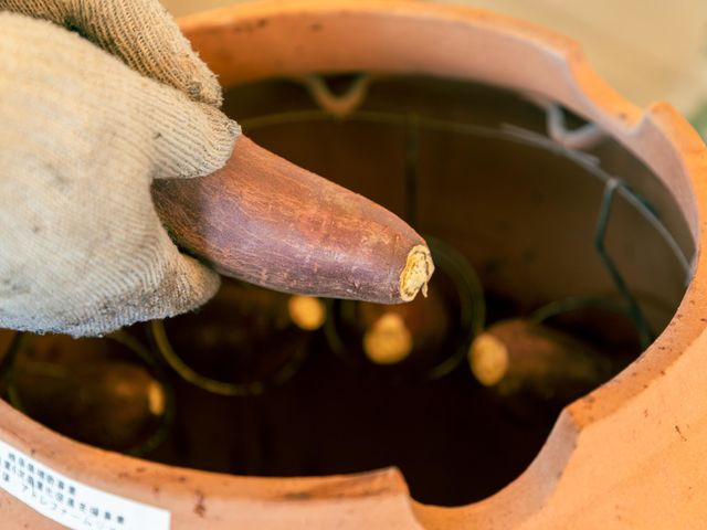 �ڏĂ��ł�������Ă��グ��u����������v�͑�l�C�ł�_�̌��_���@�݂Ƃ�