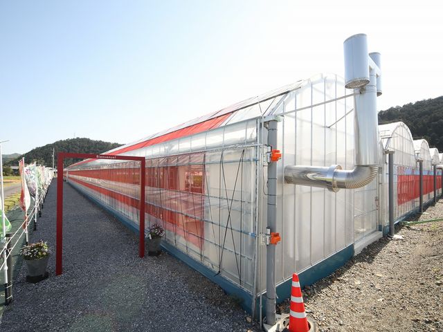 �L��Ȃ������n�E�X�ł��i2���j�B_�̌��_���@�݂Ƃ�