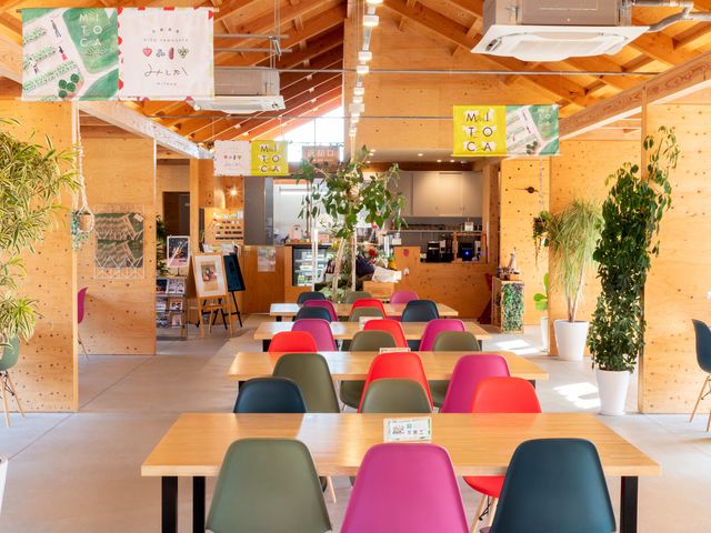 �J�t�F�X���̓K���X����Ŗ��邭�؂̂ʂ����肪���������Ԃł�_�̌��_���@�݂Ƃ�