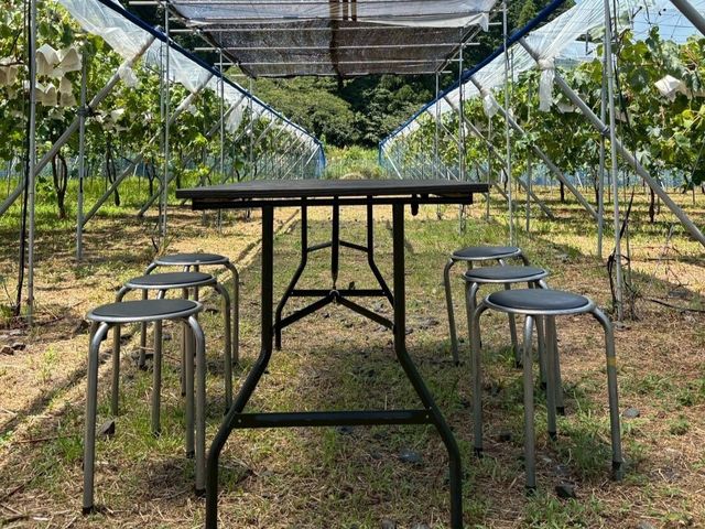 �Ԃǂ����ł́A���悯�A�e�[�u���A�֎q�A�X�������������Ă��܂�_�̌��_���@�݂Ƃ�