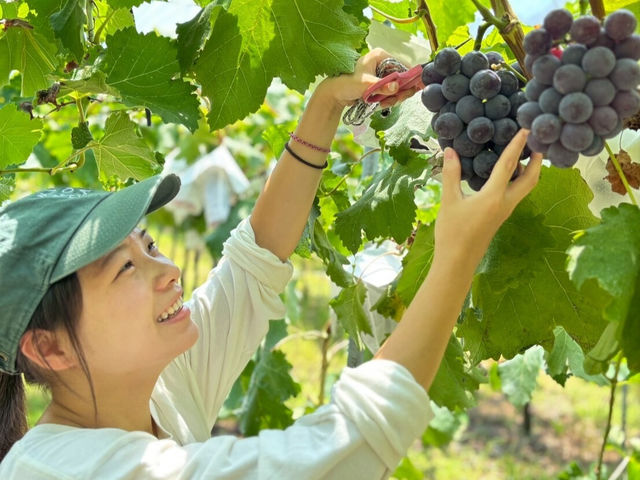 �򕌌����ł͊󏭂ȑ嗱�Ԃǂ��̎��n�̌����y���߂܂�_�̌��_���@�݂Ƃ�