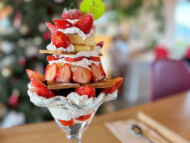 ���͖��_�̔_��������ł����ґ�ȃp�t�F�����y���ݒ����܂��I_�̌��_���@�݂Ƃ�