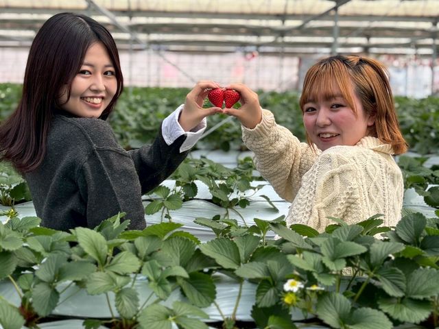 �̌��_���@�݂Ƃ��̎ʐ^1