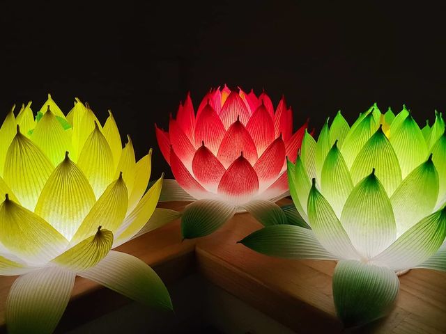 �K���܂ݍ׍H�͂Ȃ͂�