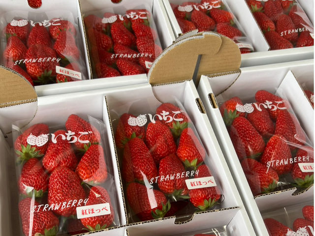 �����_��