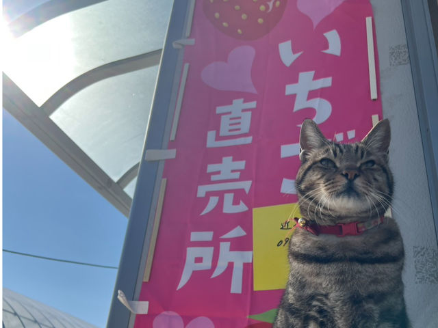 �����_��