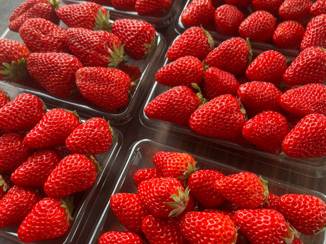 �����_��