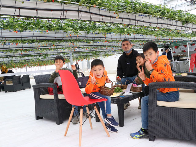 �ƂƂ�׃t�@�[��