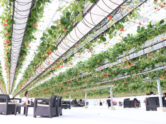 �ƂƂ�׃t�@�[��