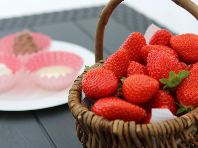 �ƂƂ�׃t�@�[��