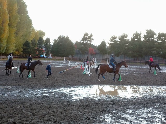 ���N���G�[�V�����̕��i_�����Ђ����n�N���u