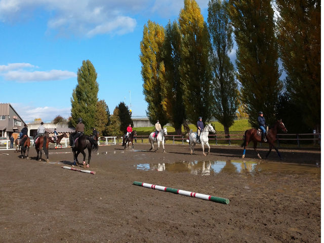 �F�ŗ��K���邱�Ƃ��B_�����Ђ����n�N���u