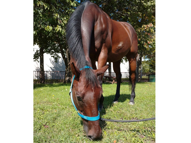 �`�n�Љ�`
�y�z�V�m�L���O�z
���N���u��15�N�ԍݐЁA���S�҃��b�X�����狣�Z��o��܂ł��Ȃ��X�[�p�[�z�[�X�I�n��������������x�e�����ł���2021�N����_�����Ђ����n�N���u