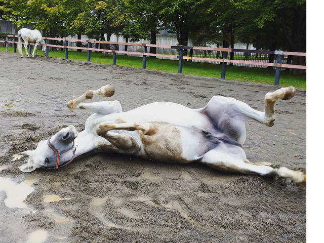 �`�n�Љ�`
�y�|�[�����\�b�h�z
10�΂ł����A��������̐l���悹����悤���ݏ�n�P�����B�S���S������D���ŃX�^�b�t�������Ȉ�ʂ��c�B2021�N����_�����Ђ����n�N���u