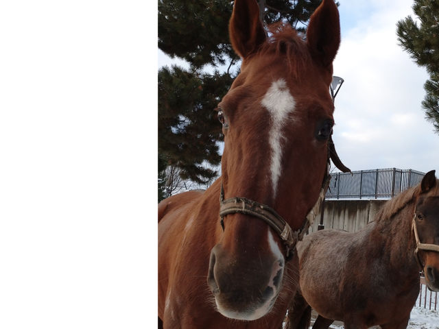 �`�n�Љ�`
�y�o�[�Y�z
���N���u�ō����29�΁I�f��o���̌o��������A�܂��܂����C�Ŏ�Ɏq�ǂ������̃��b�X���Ŋ������ł���2021�N����_�����Ђ����n�N���u