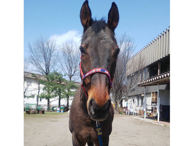 �`�n�Љ�`
�y�}�C�l���|���l�[�Y���z
2023�N�t�ɓ��X���܂����B�������i�̂����������ł��B_�����Ђ����n�N���u