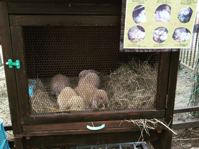 �E�T�M�����w�E�G�T���ł��܂��B_�����Ђ����n�N���u