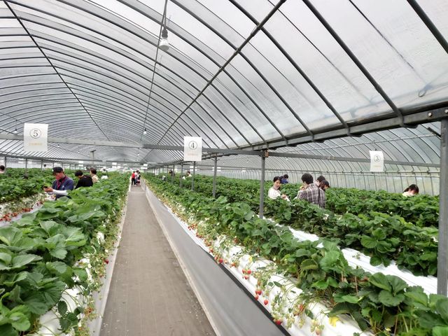 �ԍՂ������̒J