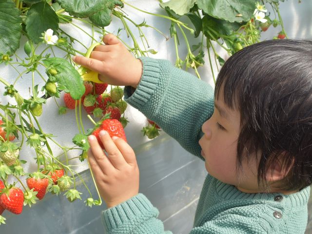 �ԍՂ������̒J