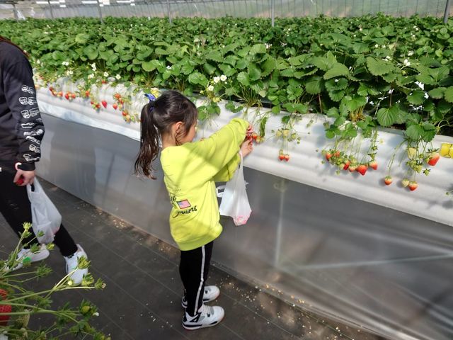 �ԍՂ������̒J