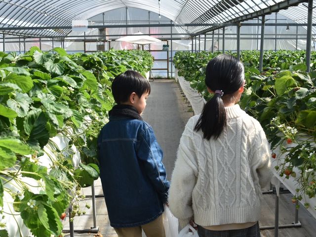 �ԍՂ������̒J