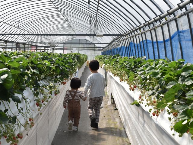 �ԍՂ������̒J