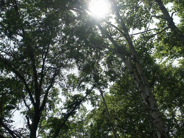 �āi�΂̃L�����p�X�j_�����_�[�����h�T�b�|���i�X�m�[���r�������h�T�b�|���j