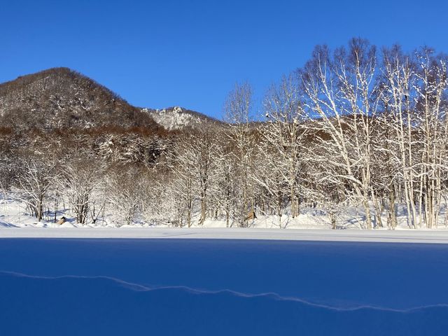 �~�i���Ɛ̃R���g���X�g�j_�����_�[�����h�T�b�|���i�X�m�[���r�������h�T�b�|���j