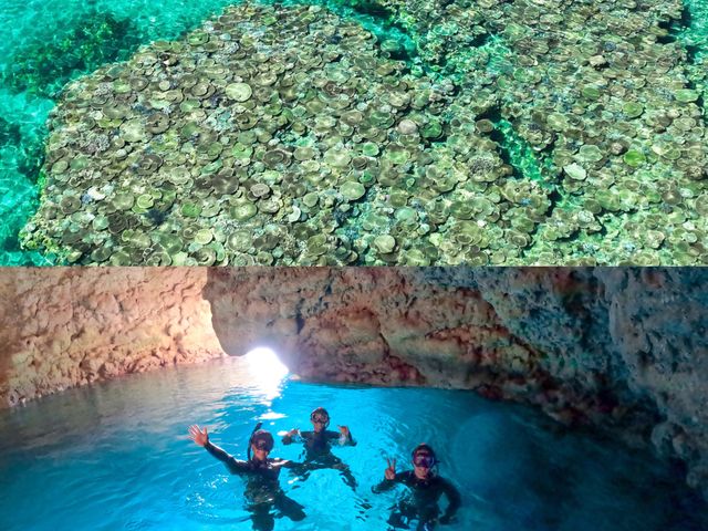 �卬�G�O�̐̓��A�̃Z�b�g�v�����I_TarzanWorld