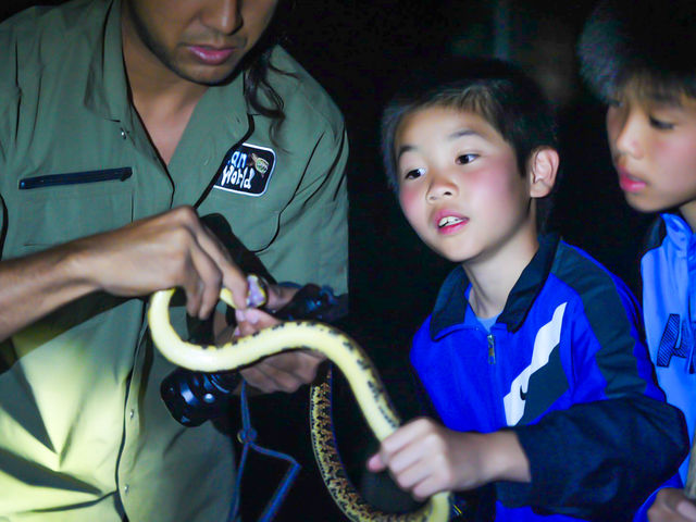 �֐G���Ă݂邩���I�H_TarzanWorld