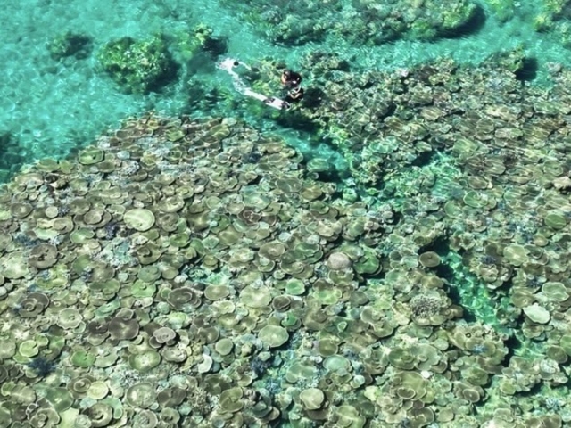 �݂�Ȃ��s���Ȃ��閧�̏ꏊ�ŃV���m�[�P���I_TarzanWorld