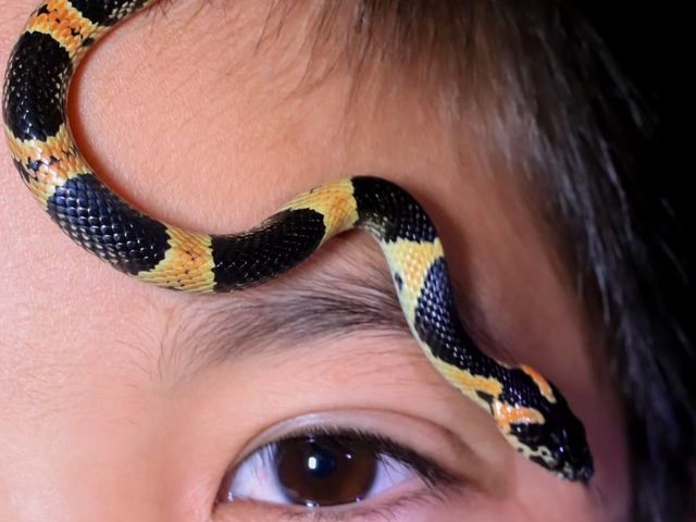 �x��������͂���I_TarzanWorld