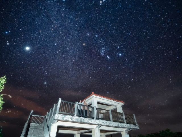 ����c�A�[��1�g�ݐ؁I_TarzanWorld