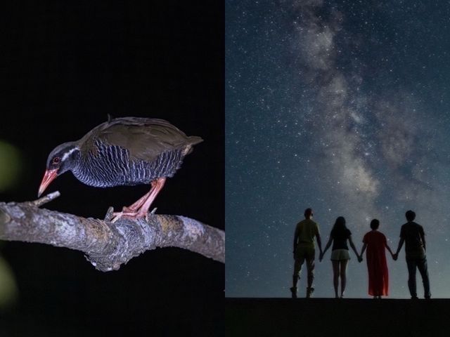 TarzanWorld�̎ʐ^1