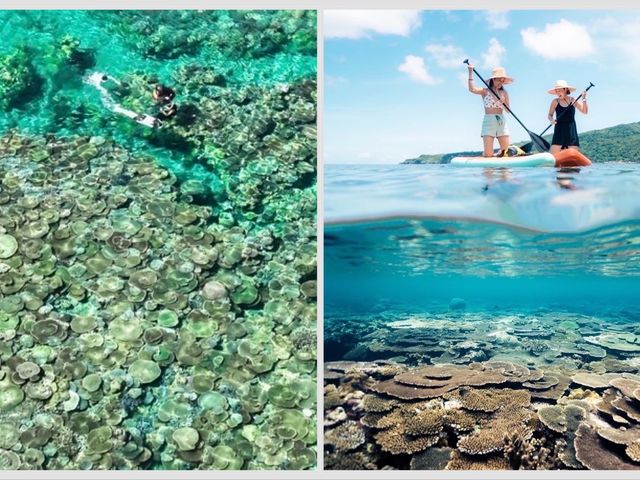 �X�m�[�P���c�A�[�͍ō��ɗV�ׂĎv���o����������I�I_TarzanWorld