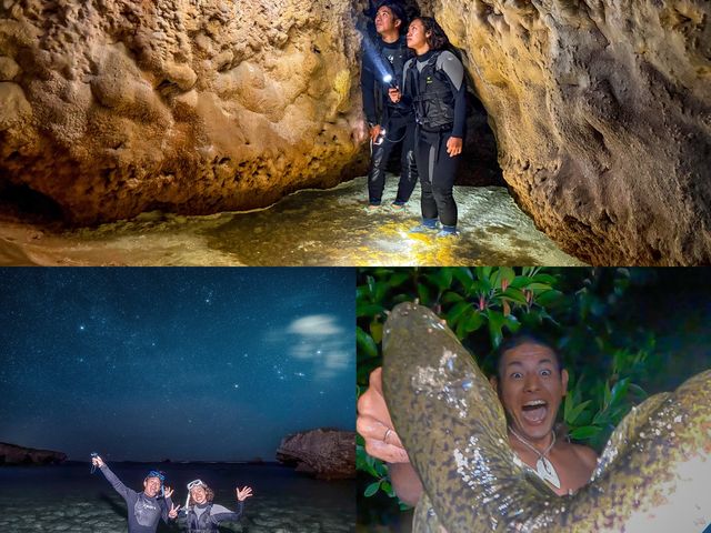 ���[�����̑�l�C�i�C�g�V���m�[�P���c�A�[�I_TarzanWorld