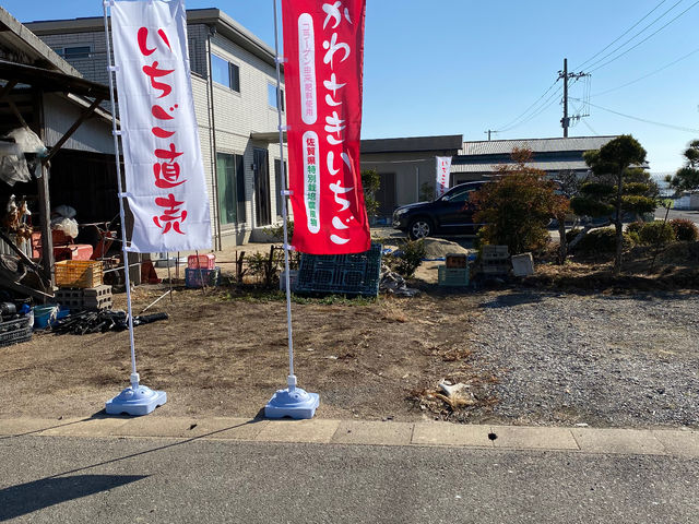 ���킳��������