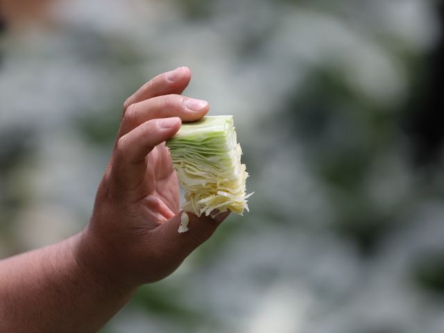 nĂ݂݂̂LxcǂI_Hennery Farm