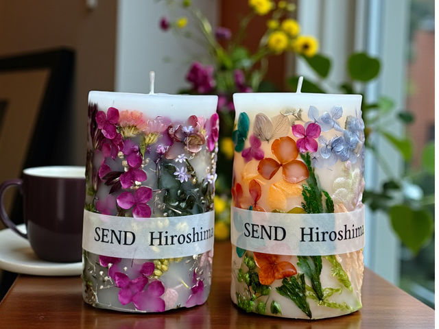 SEND Hiroshima̎ʐ^1