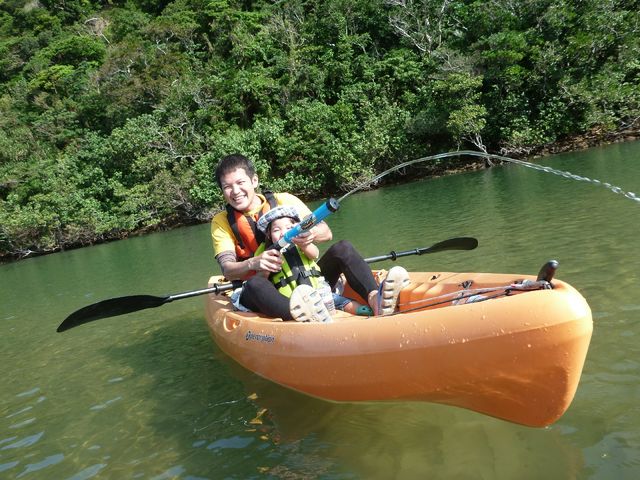 �J�k�[���u�������ܗp�̐��S�C�I�v_���\���V�[�X�L�b�v