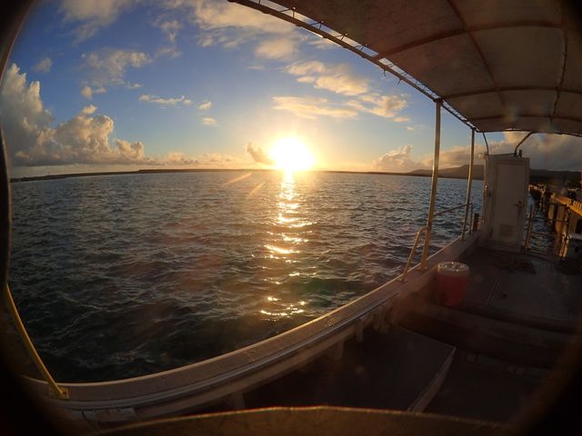 ���\���ɏh���җl�ւ̓��ʑ����c�A�[�u���Ă����Ȃ���o���I�v_���\���V�[�X�L�b�v