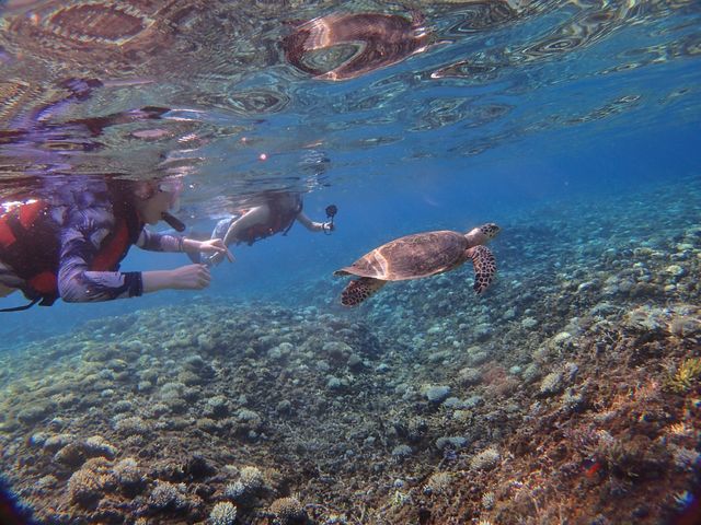 �E�~�K�������đ����͑ݐ؁i���j_���\���V�[�X�L�b�v