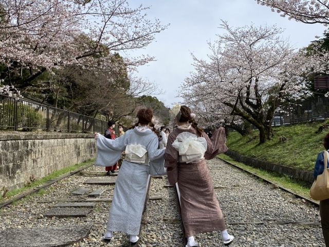 �R��C���N���C��_���������^���@Nagomi no wa