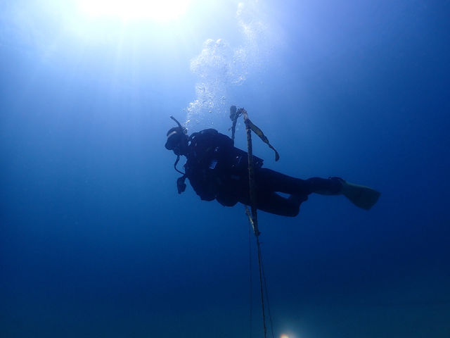 �_�C�r���O�A�E�g�h�A�V���b�v�@Peaceful