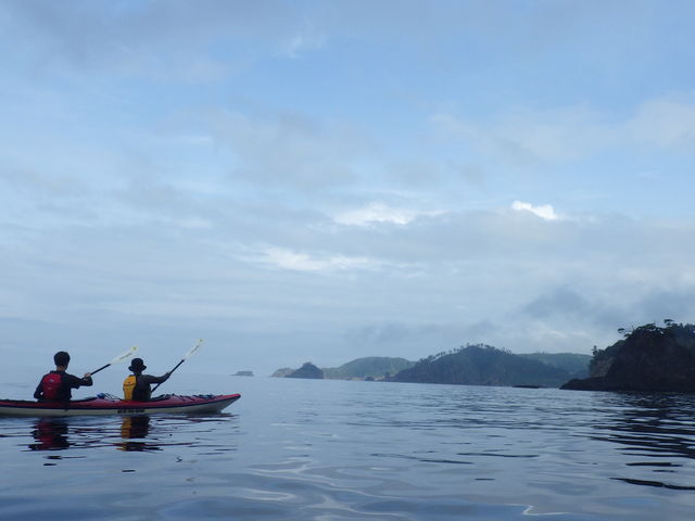 Nature Guide�@�V�щ�