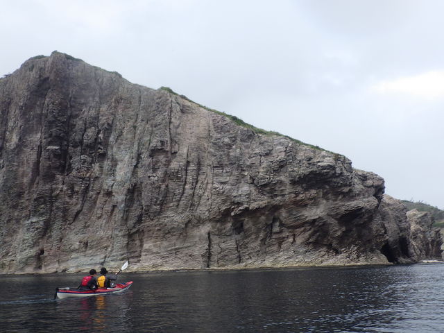 Nature Guide�@�V�щ�