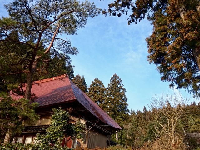 �����̗��R
�z200�N�̌Ö��ƃT����_���a��{(���傤�킪��)