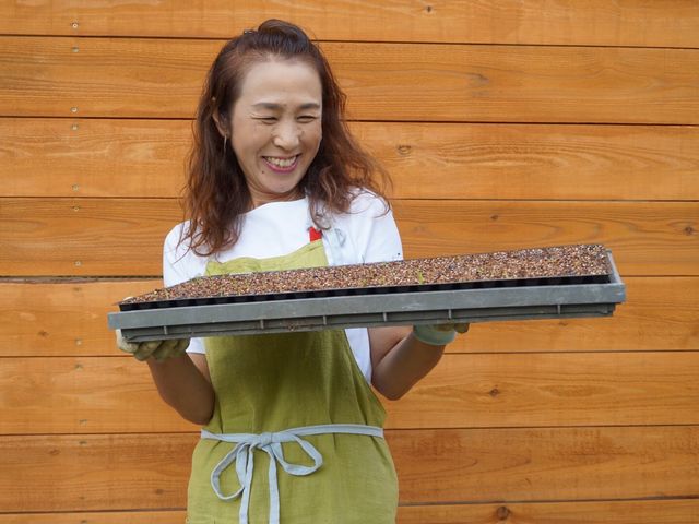 ��������肪�o��
����������K��_���a��{(���傤�킪��)